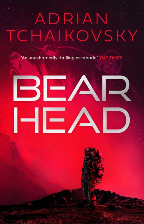 Bear Head cover