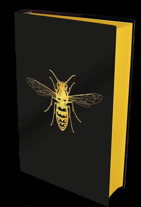 Empire in Black and Gold Broken Binding back cover image